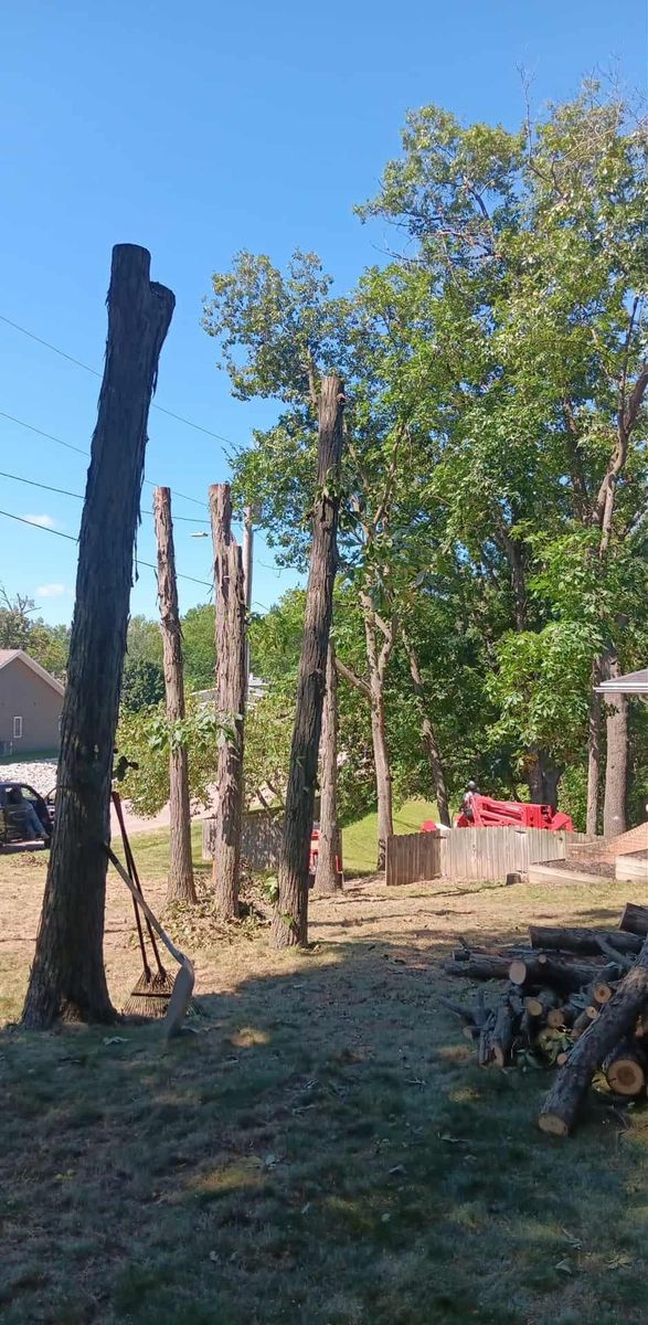 Tree Removal for Lawn Ranger Yard And Tree Service LLC in Ottumwa, IA