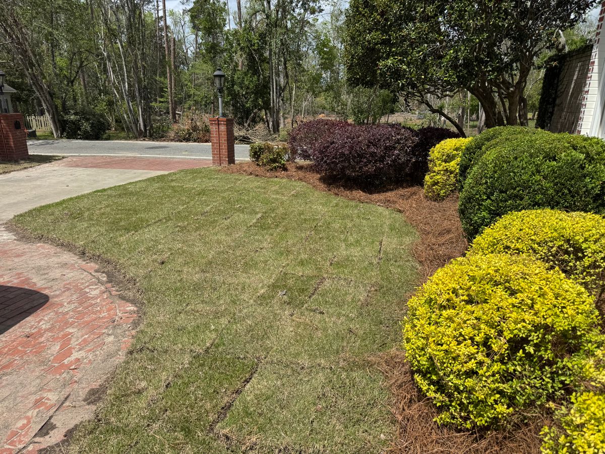 Sodding for South GA Land Development in Hazlehurst, GA
