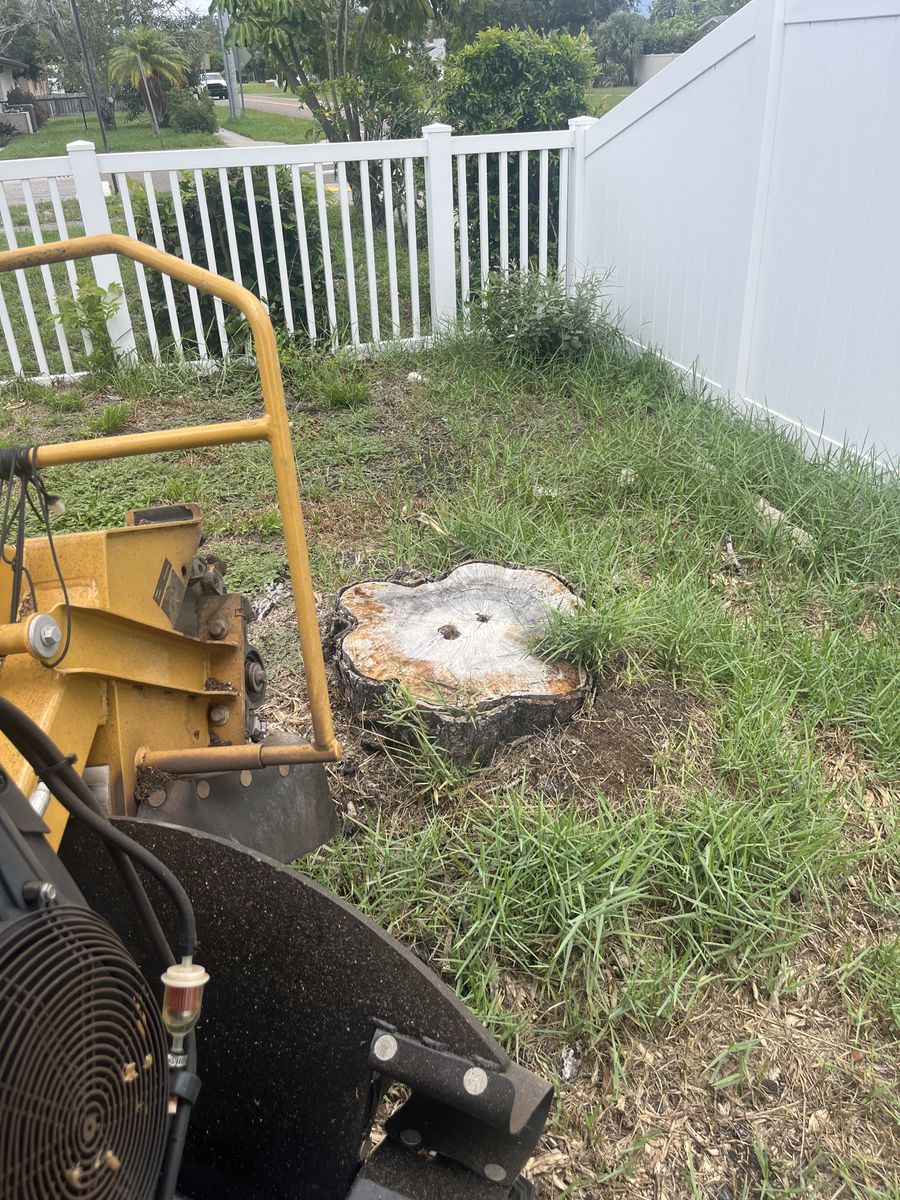 Stump Removal for KB’s Stump Removal in Seminole, FL