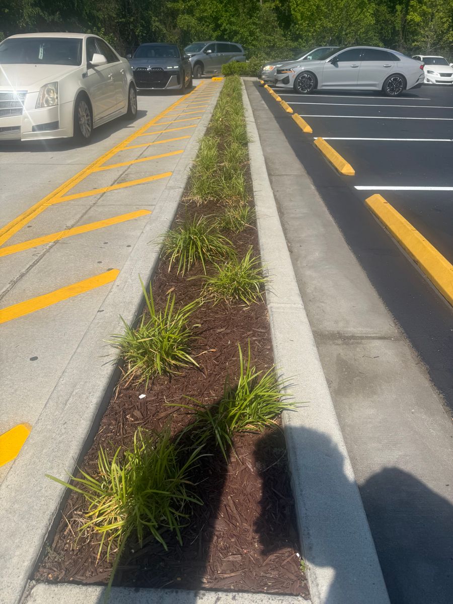 Landscape Design for Amerigreen Lawn & Landscape in Duluth, GA