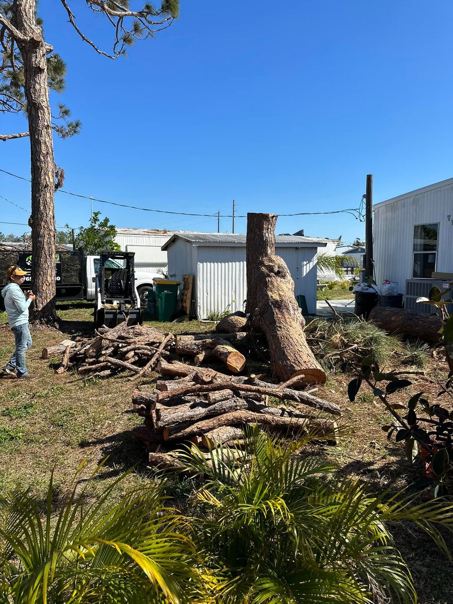 Tree Removal for MX Trees LLC in Englewood, FL