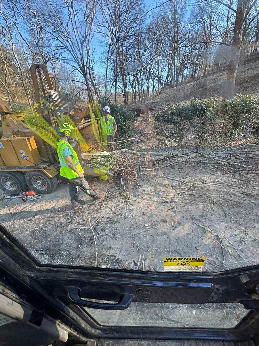 Forestry Mulching for TD Dirtworks in Tracy City, TN