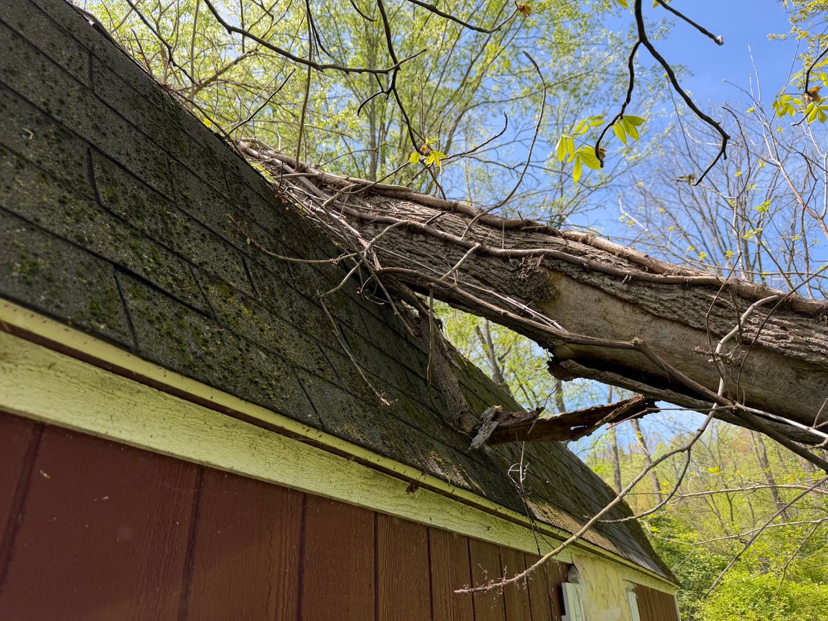 Tree Removal for Fowler's Tree Service LLC. in New Albany, PA