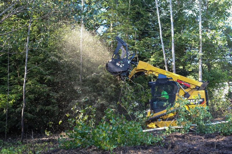Forestry Mulching for First Call Land Works & Excavation LLC in Putnam County, TN