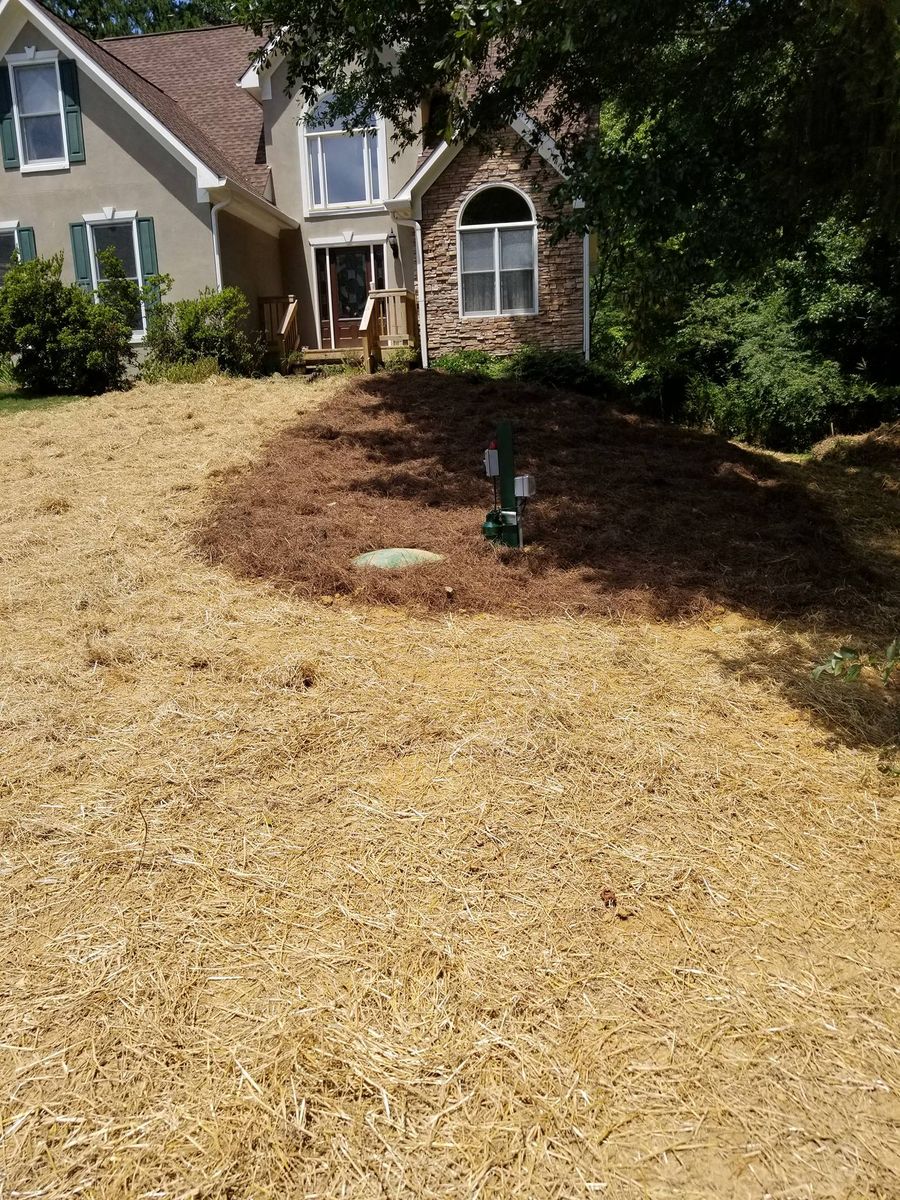 Clearing for Septic & Sewer Solutions in Buford, GA