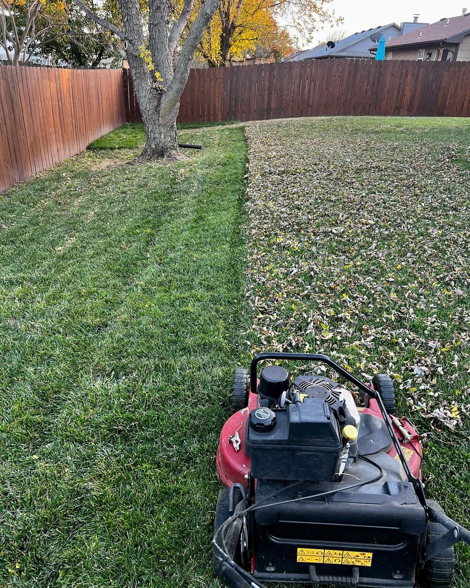 Fall Clean Up for Macy Mowing in Wichita, KS