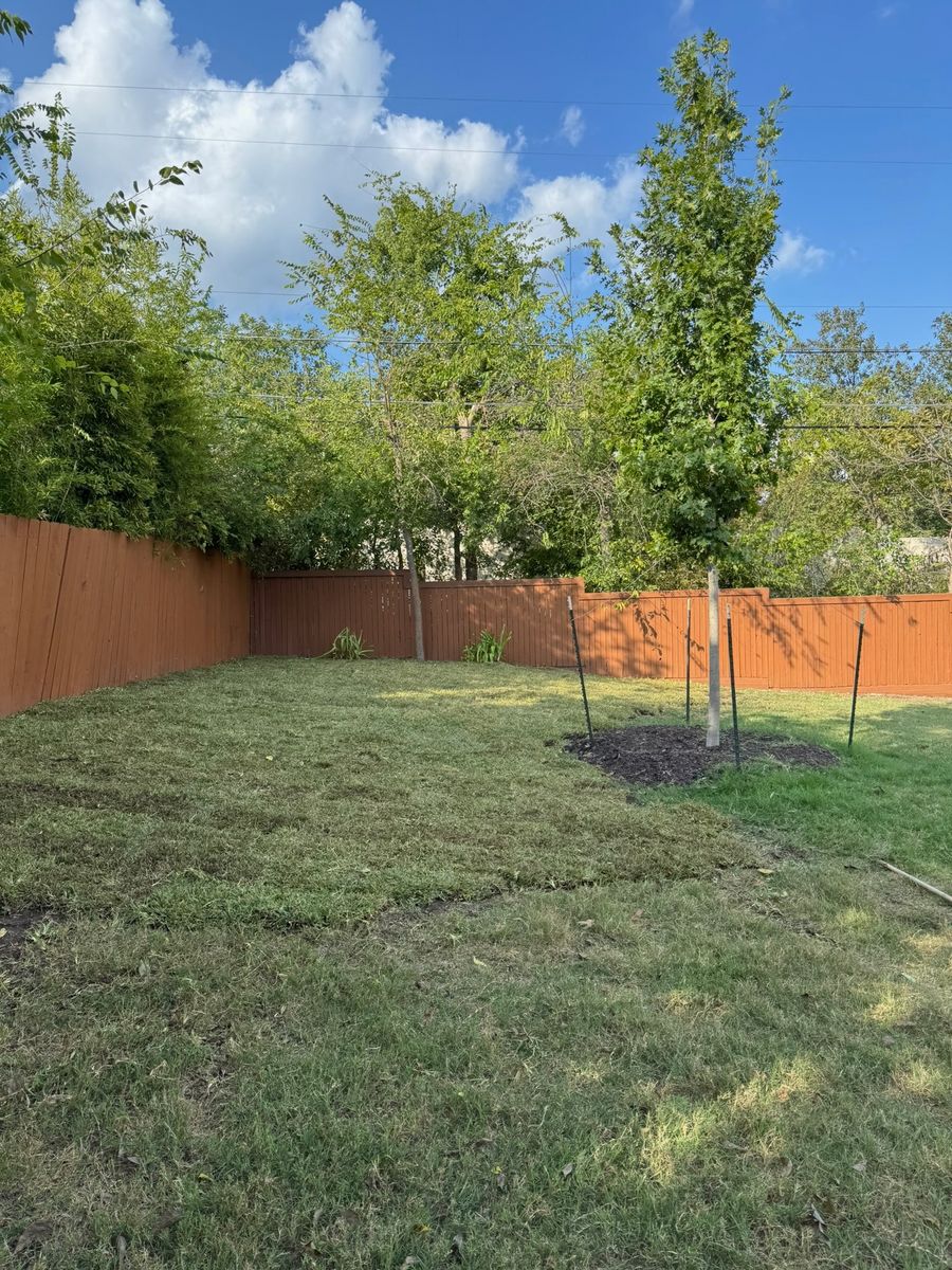Lawn Maintenance for Exellent lawn services in San Antonio, TX