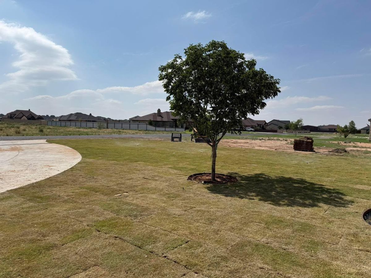 Landscape Design for AMV Irrigation Specialist LLC in Midland County, TX