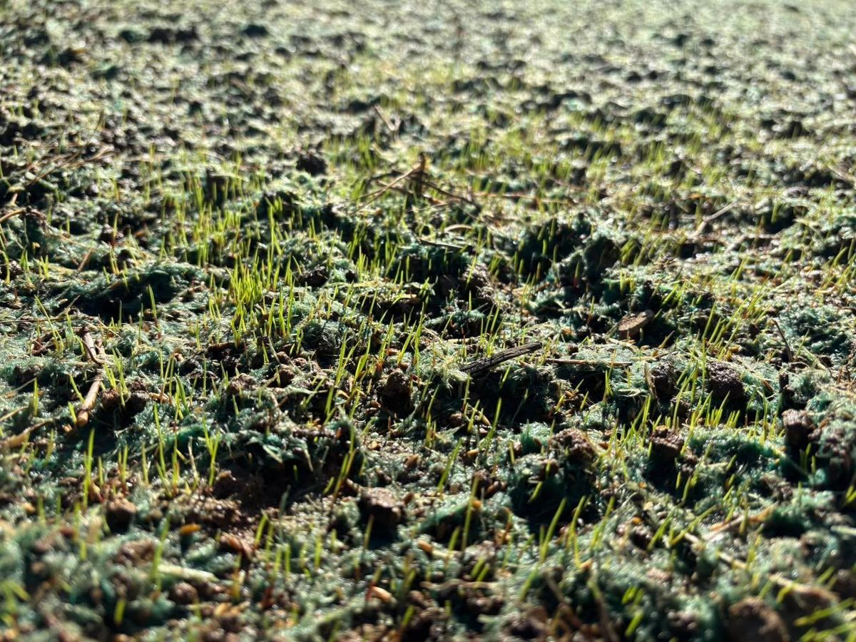 Hydroseeding / Soil Stabilization for CreekSide HydroSeeding & EarthWorks in Calhoun, GA