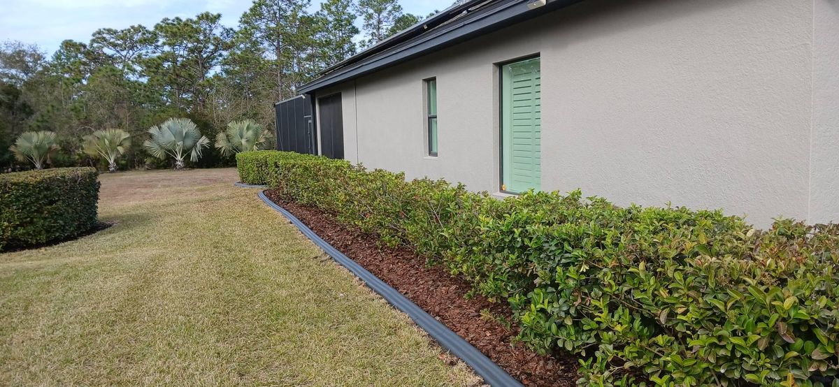 Repaints for Bradley Bradshaw Painting in Christmas, FL