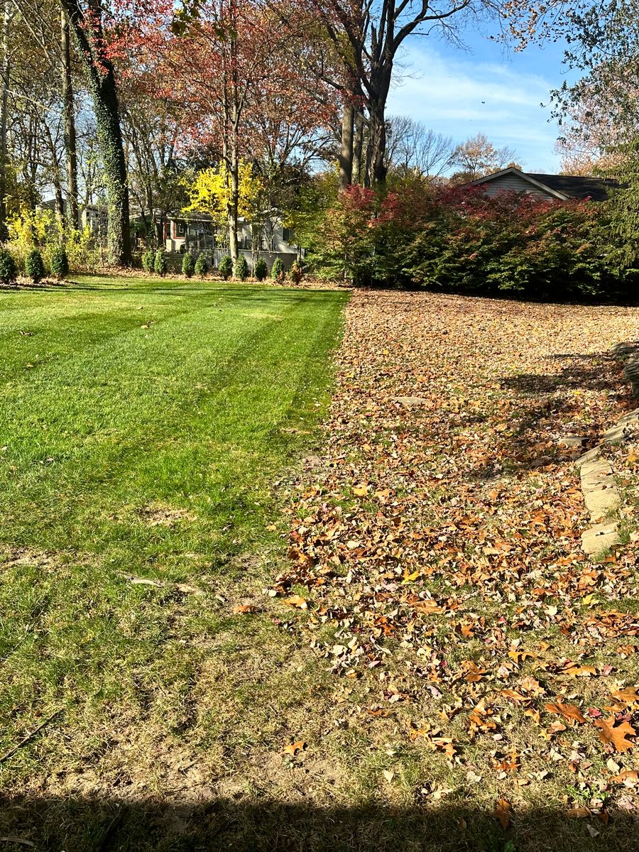 Fall Clean Up for Sargent's Lawn and Property Maintenance LLC in Lambertville, MI