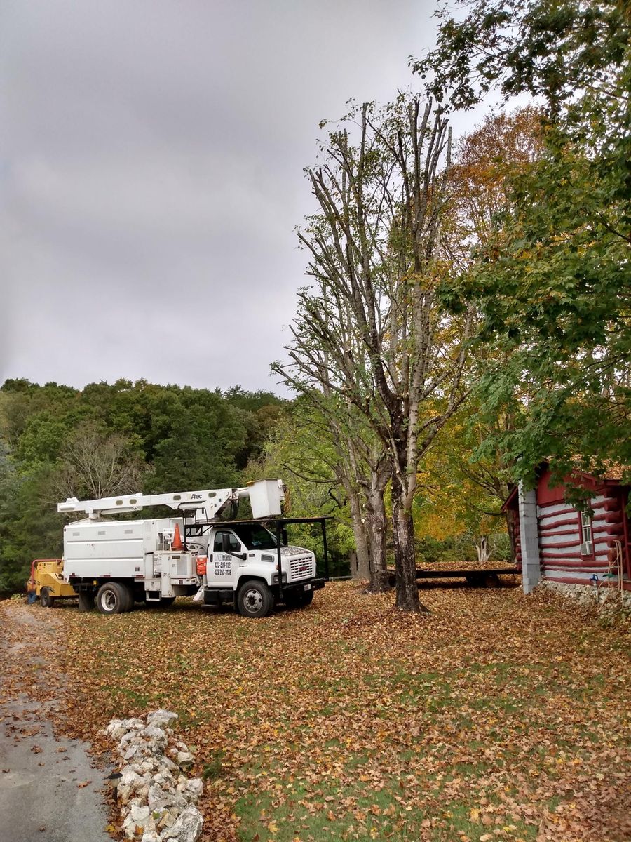 Land Grading for Lance Tree Service in Tellico Plains ,  TN