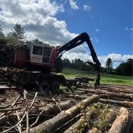 2006 Timbco 425exl Feller Buncher for  in Northumberland, NH