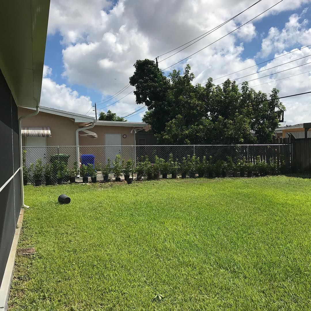 Mowing for Green Touch Property Maintenance in Broward County, FL