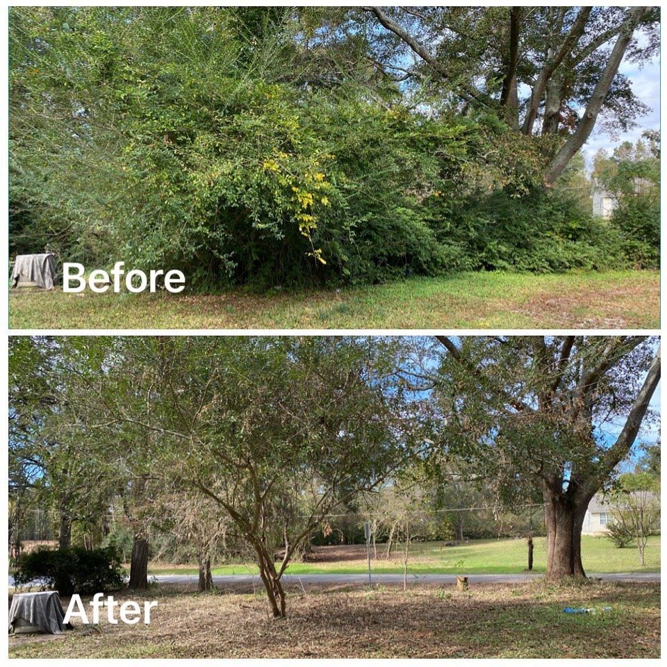 Brush Cutting and Removal for Fayette Property Solutions in Fayetteville, GA