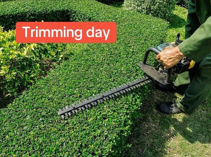 Landscaping Design for Two Brothers Landscaping in Atlanta, Georgia