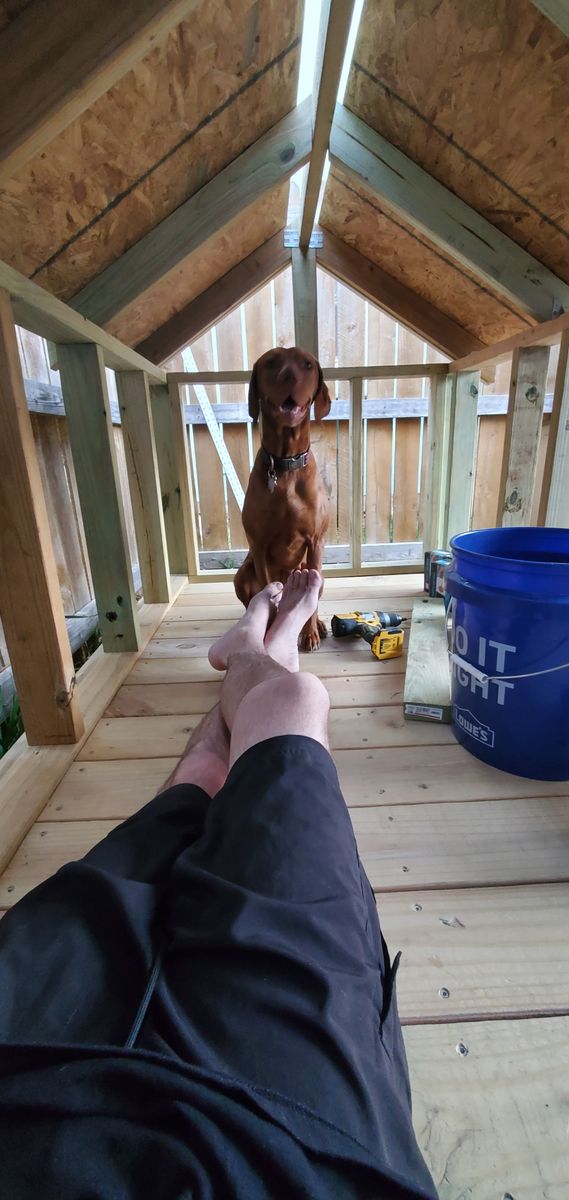 Custom Dog Houses and Animal Enclosures  for James Ellis Contracting in Kyle, TX