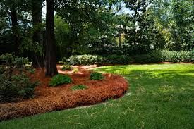 PineStraw Installs  for Beasley’s Lawn Care Services in Guyton, GA