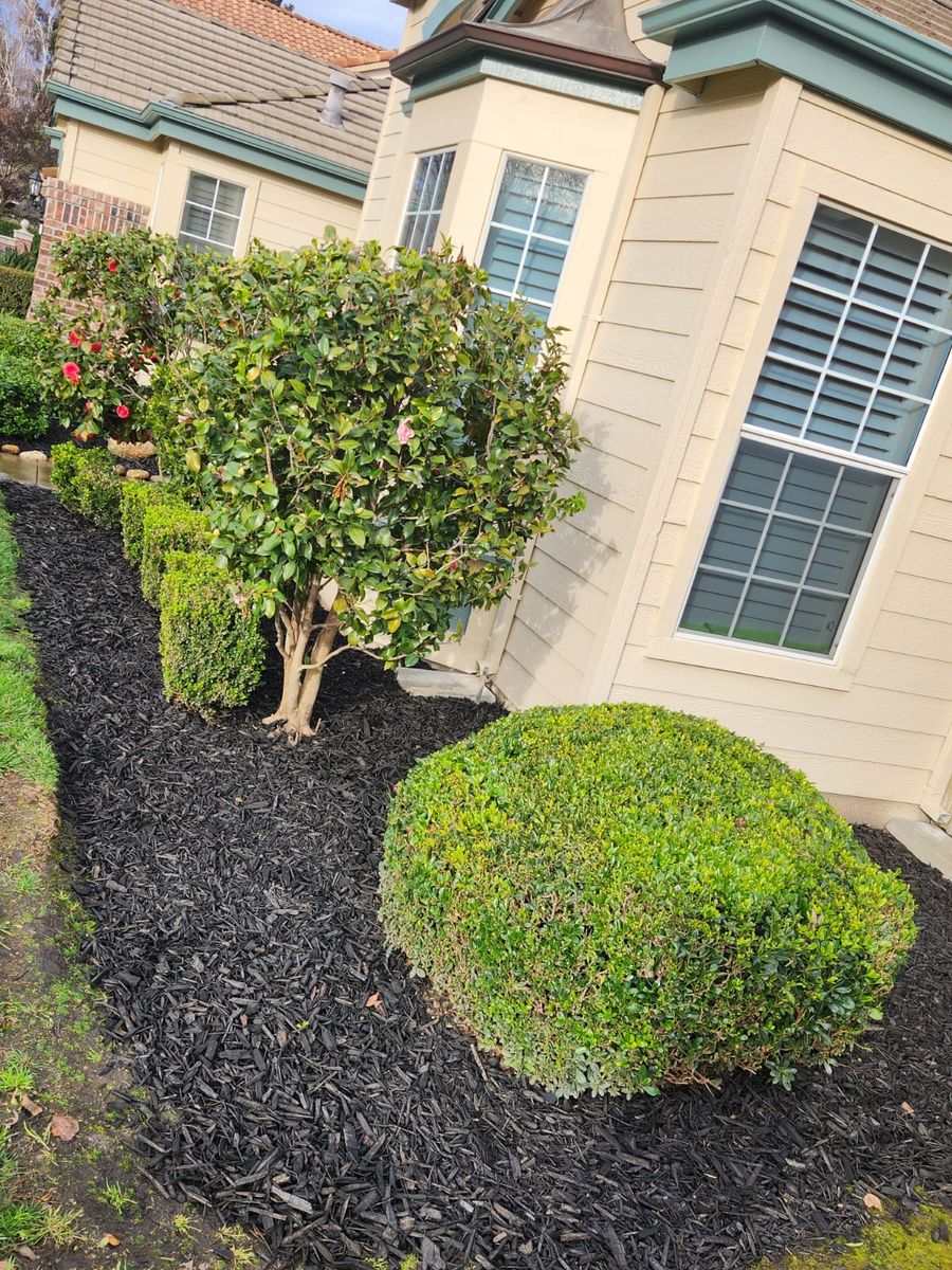 Garden Design for Vargas LANSCAPE LLC in Stockton, CA