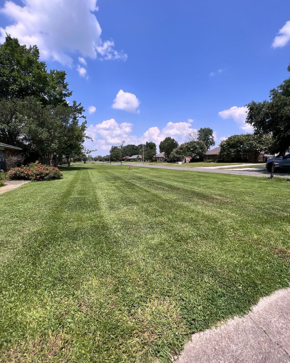 Mowing for Lawn Rangers in Baton Rouge,  LA