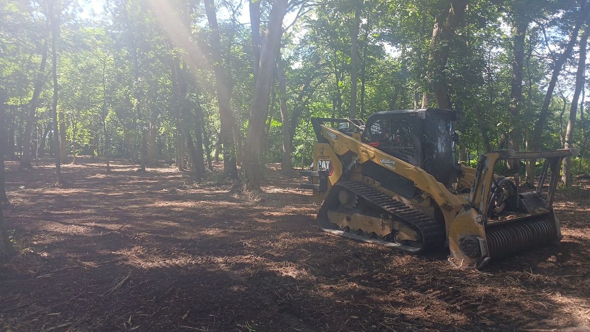 Land Clearing for Willing Trucking & Excavating in Evansville, WI