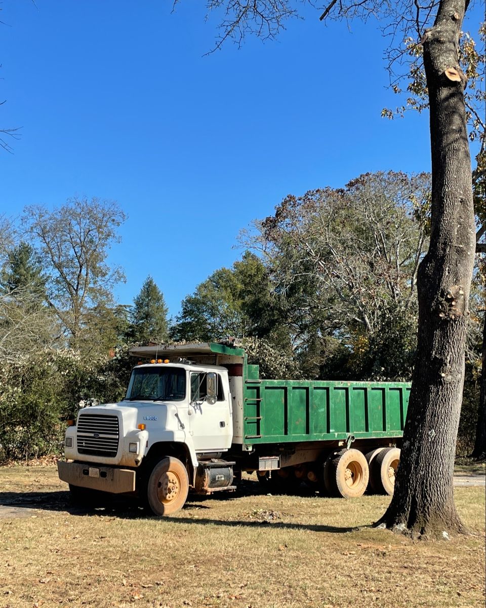 Land Clearing for Lakeside Tree Experts LLC in Hartwell, GA