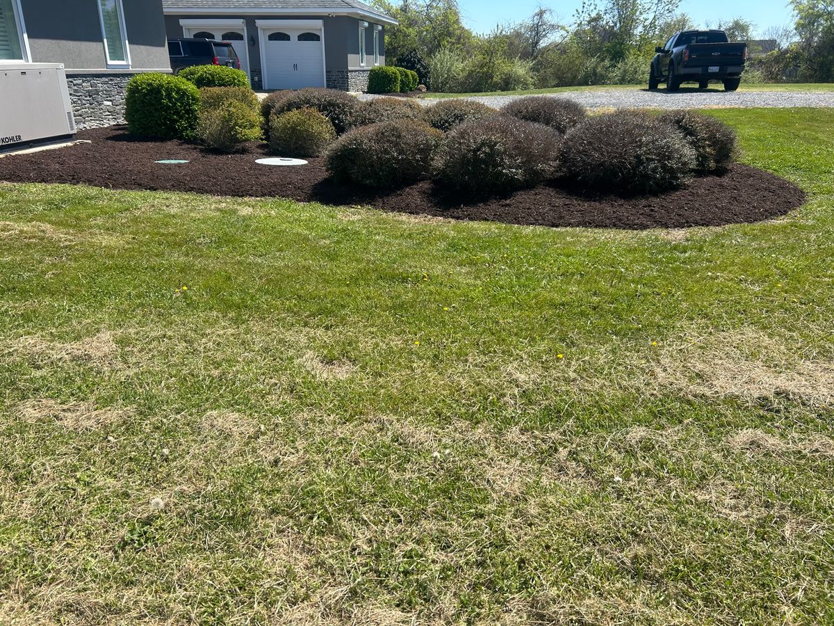 Shrub and Plant Trimming for The Whole 9 Yards Landscape VA in Heathsville, VA