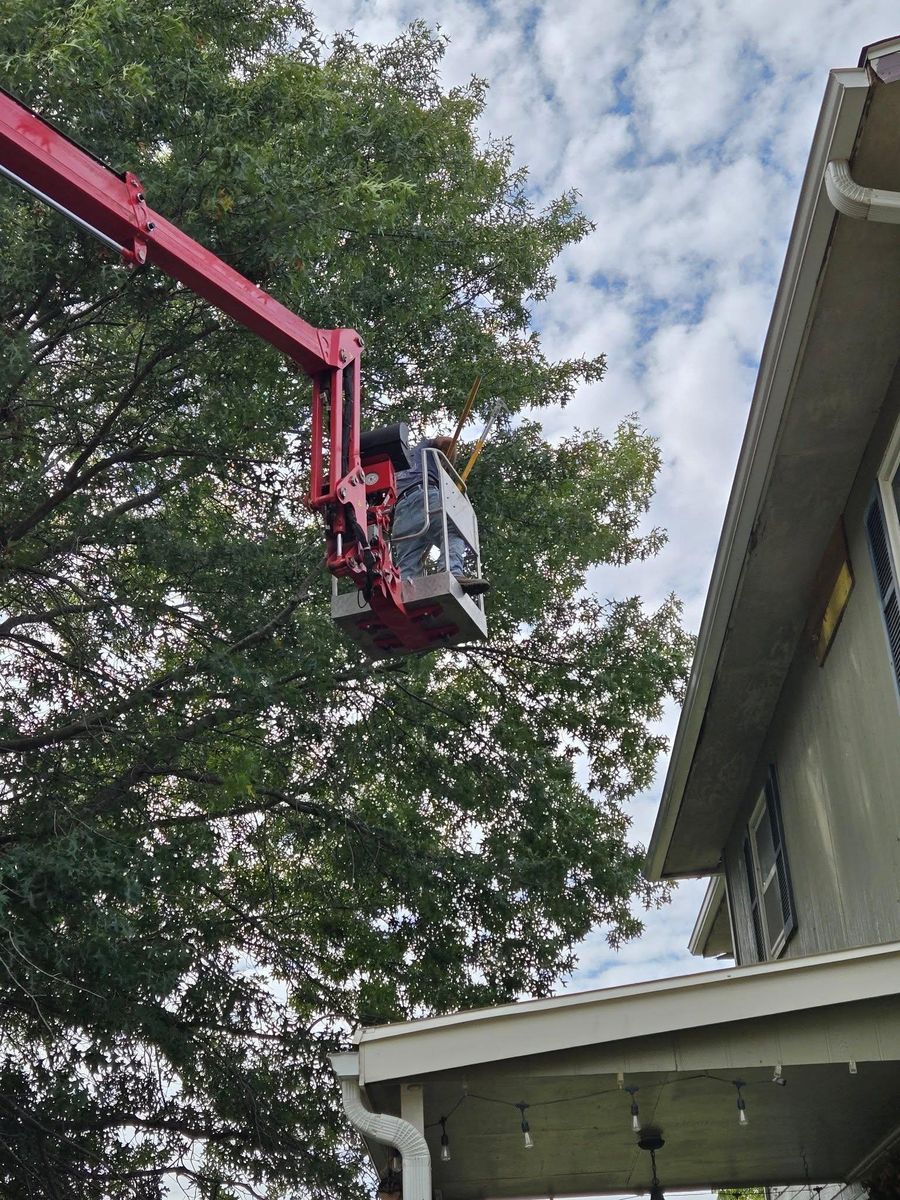 Tree Removal for Lawn Ranger Yard And Tree Service LLC in Ottumwa, IA