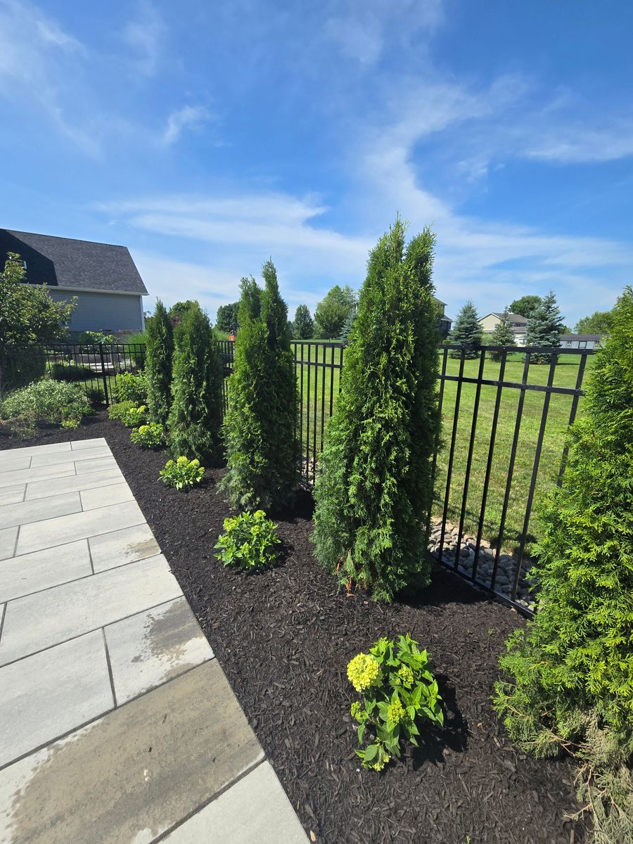 Planting & Pruning for Tony Monaco Landscaping Inc. in Orange County, NY