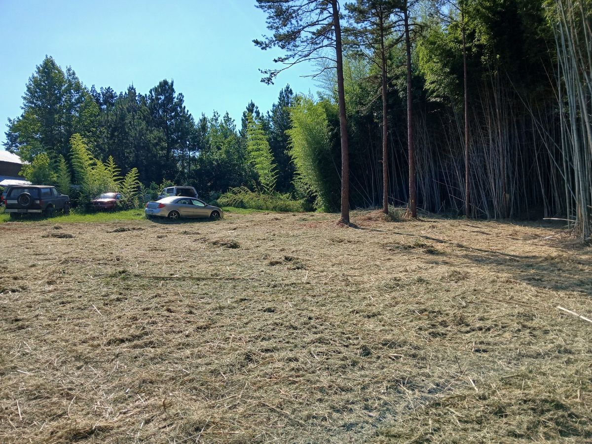 Site Preparation for Whiskey Ridge Mulching & Land Services in South Boston, VA