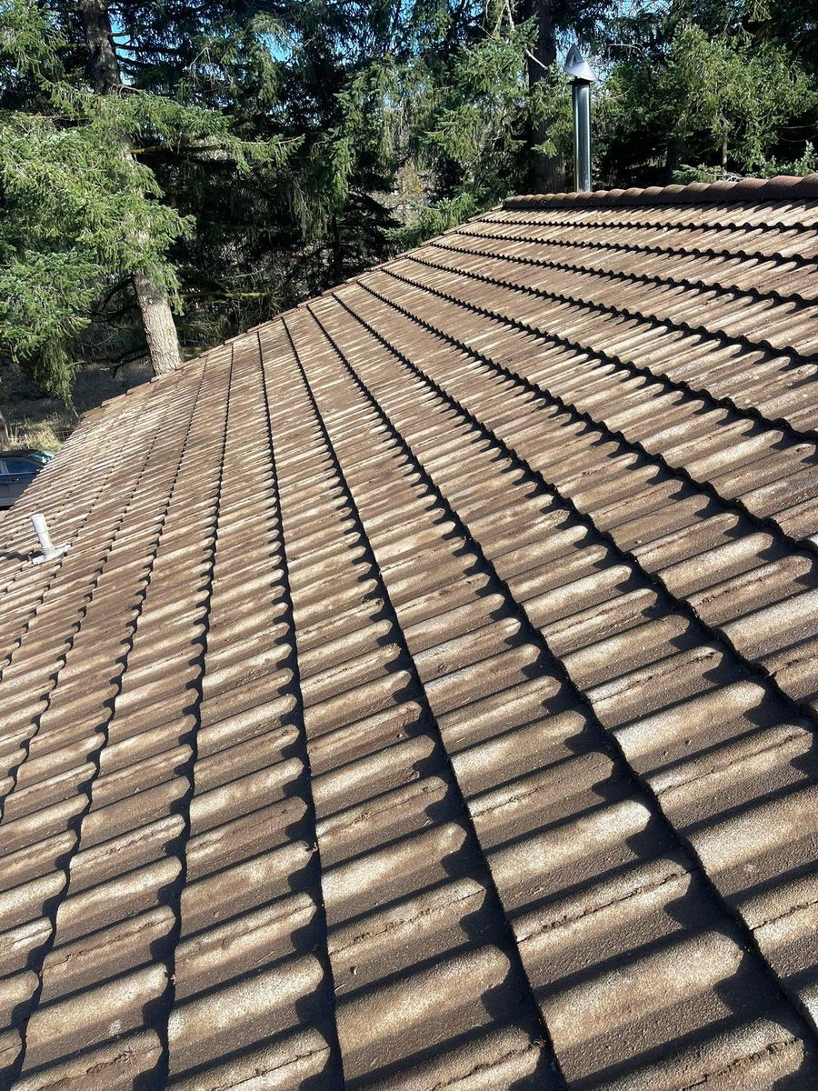 Moss Removal for Pressure Perfect in Salem, OR