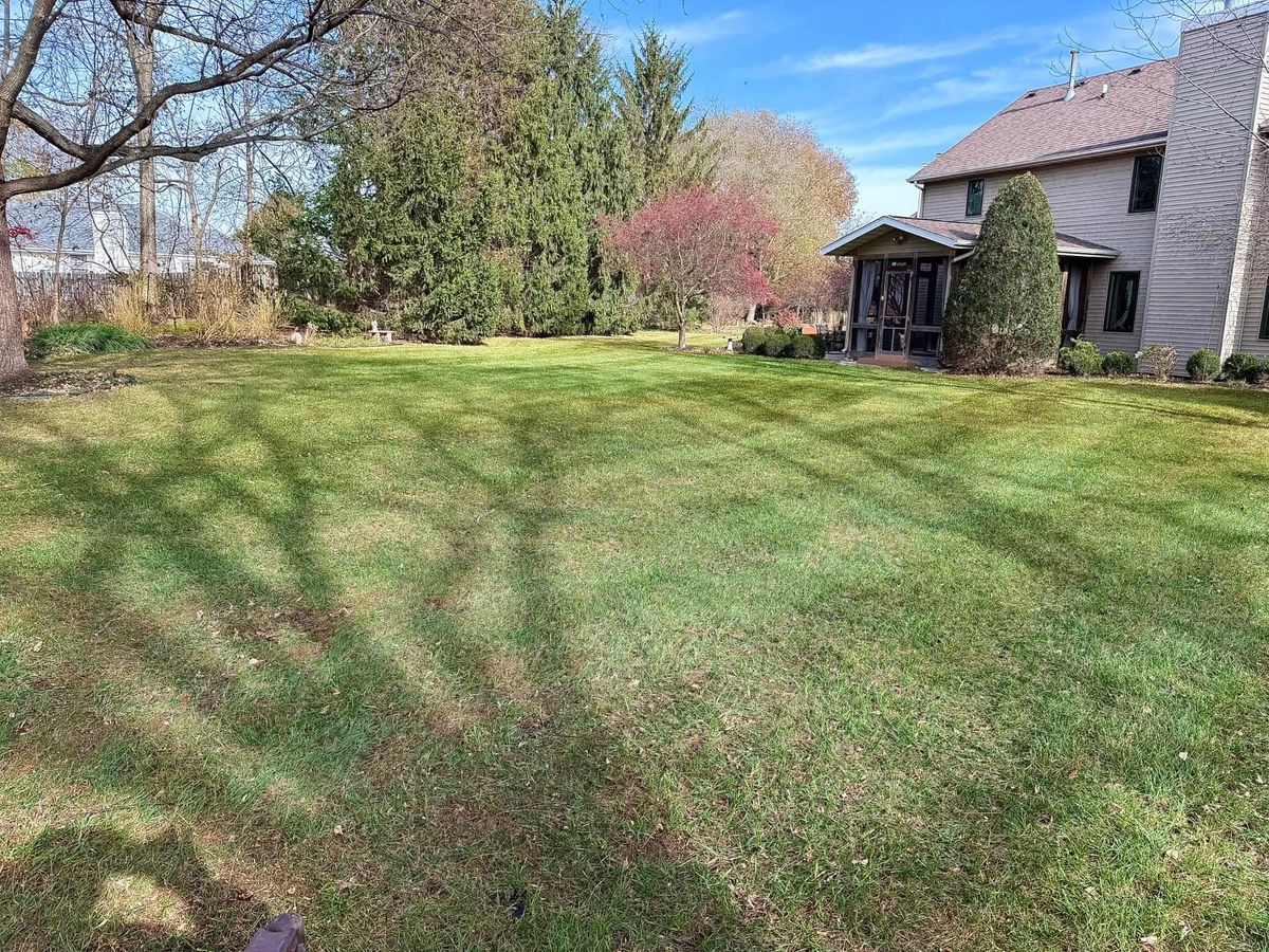 Yard Clean Up for B&G Lawn Care in Roscoe, IL