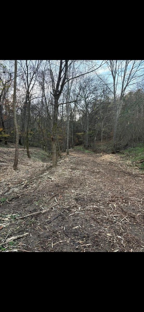 Mulching for Gregory Grass and Land in Lafayette, TN