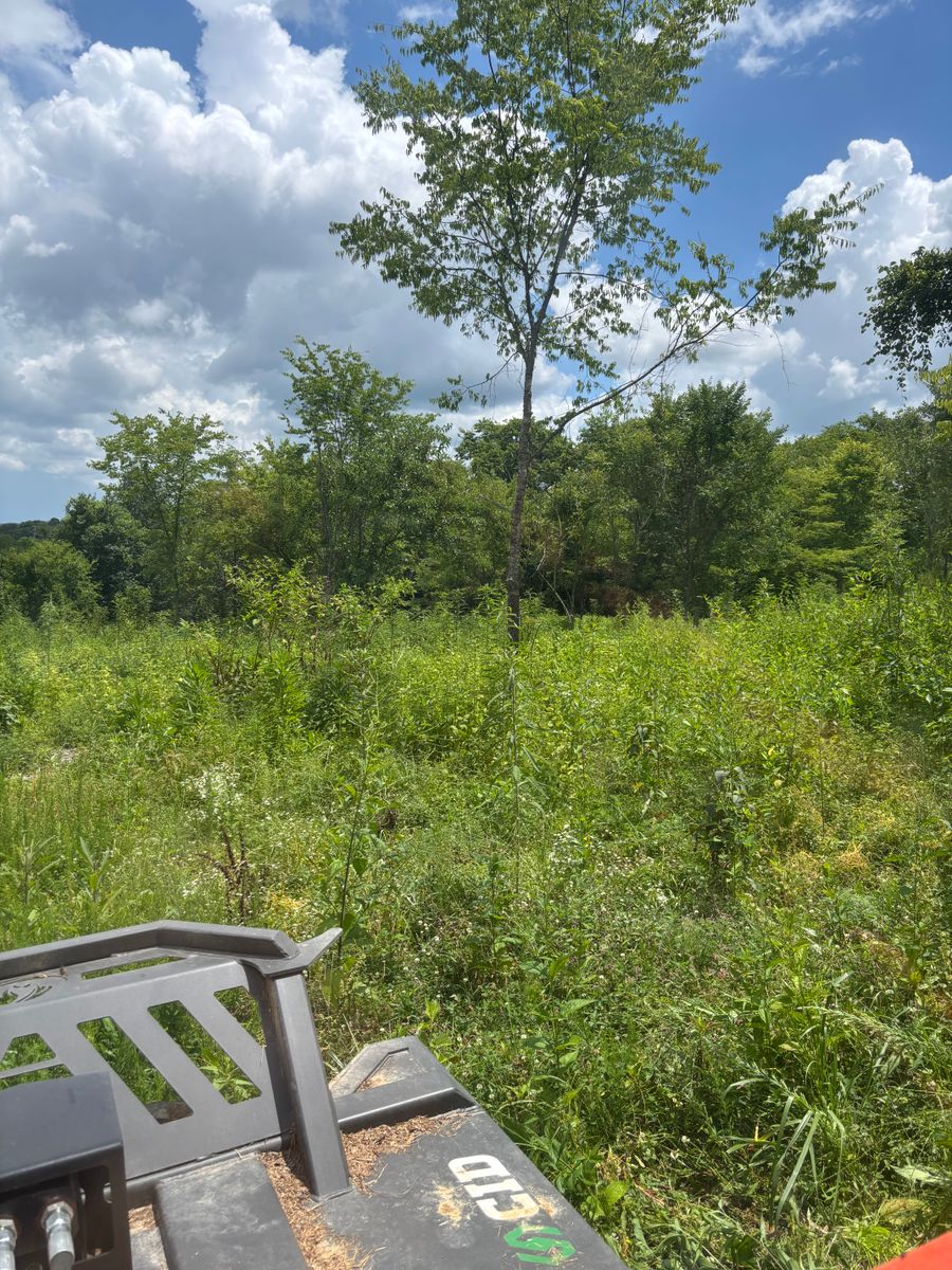 Land Clearing for Gregory Grass and Lawn in Lafayette, TN
