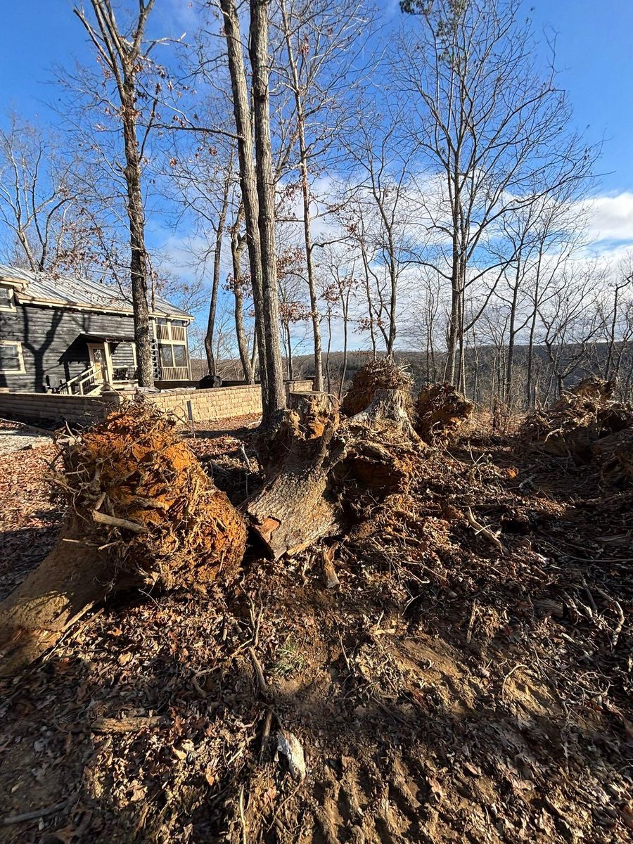 Excavation for TD Dirtworks in Tracy City, TN