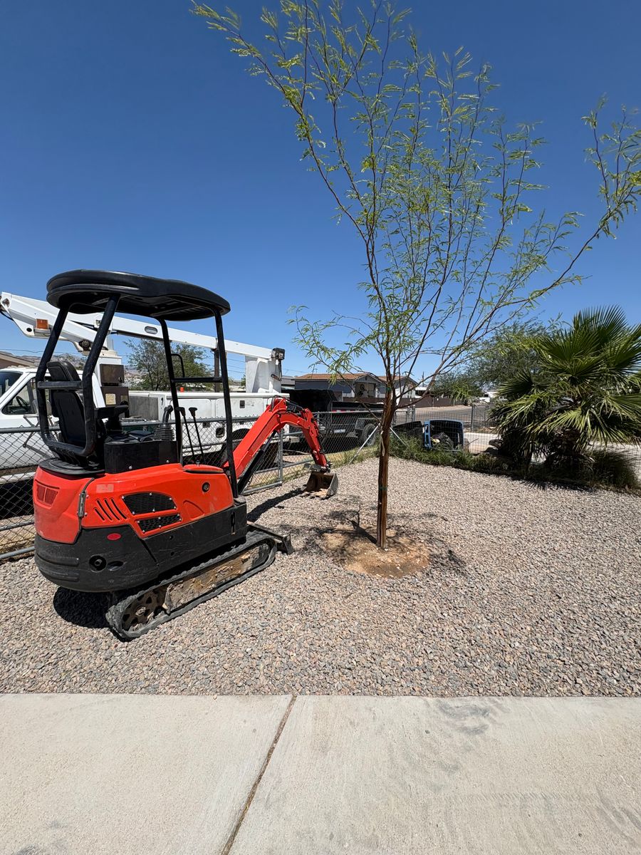 Clean ups & Grading for Top Notch Landscape Services LLC in Mohave Valley, AZ