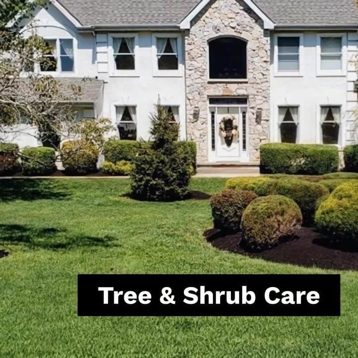 Tree & Shrub Care for J&J Martinez Landscaping in Burlington County, NJ