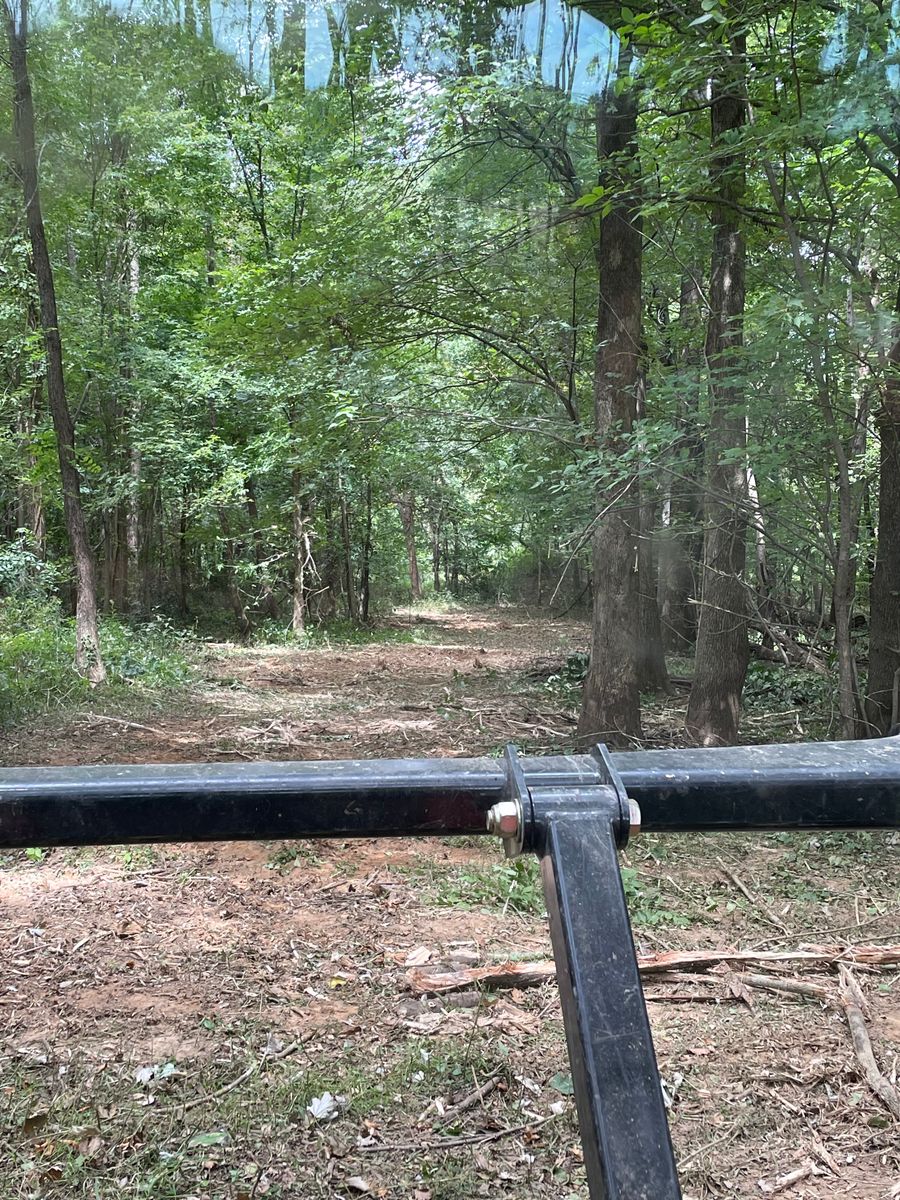 Forestry Mulching for Beaver Excavating Services in Friendship, TN