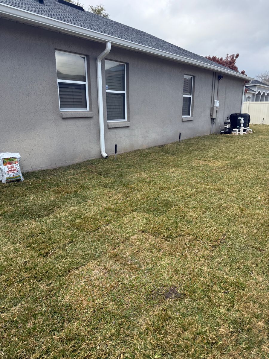 Landscape Installation for Amerigrown Tree And Lawn in Apopka, FL