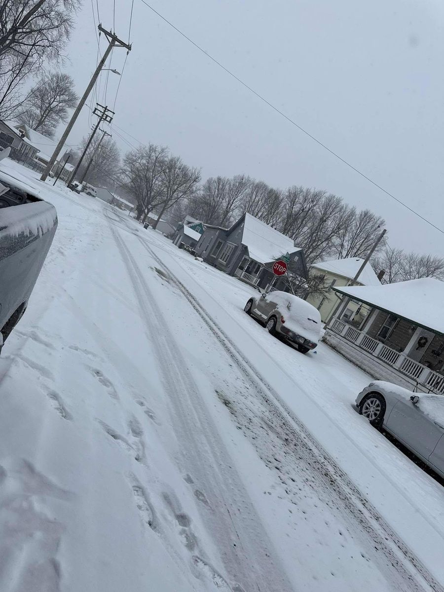 Storm Cleanup for Bearforce Lawn Care LLC in Greenfield, IN