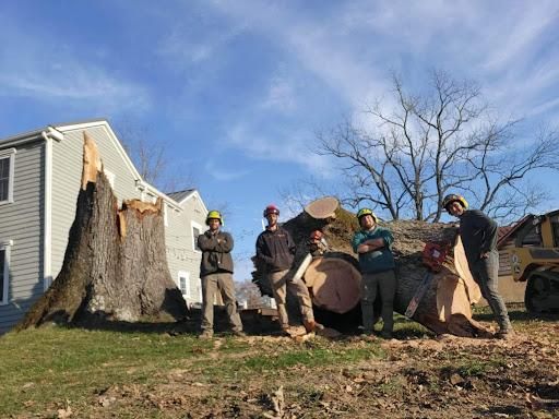 Tree Removal for Smith Tree Experts in Palmyra, VA