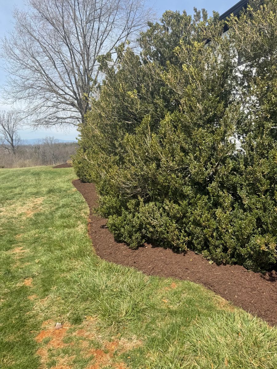 Mulch Installation for Chiles Lawn & Landscaping in Gordonsville, VA