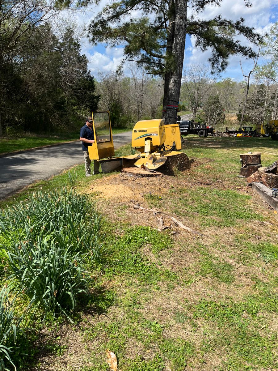 Stump Removal for T&T Lot Works in Kingston Springs, TN