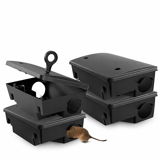 Rodent Control Services for Platinum Pest Control in Spring Hill, FL