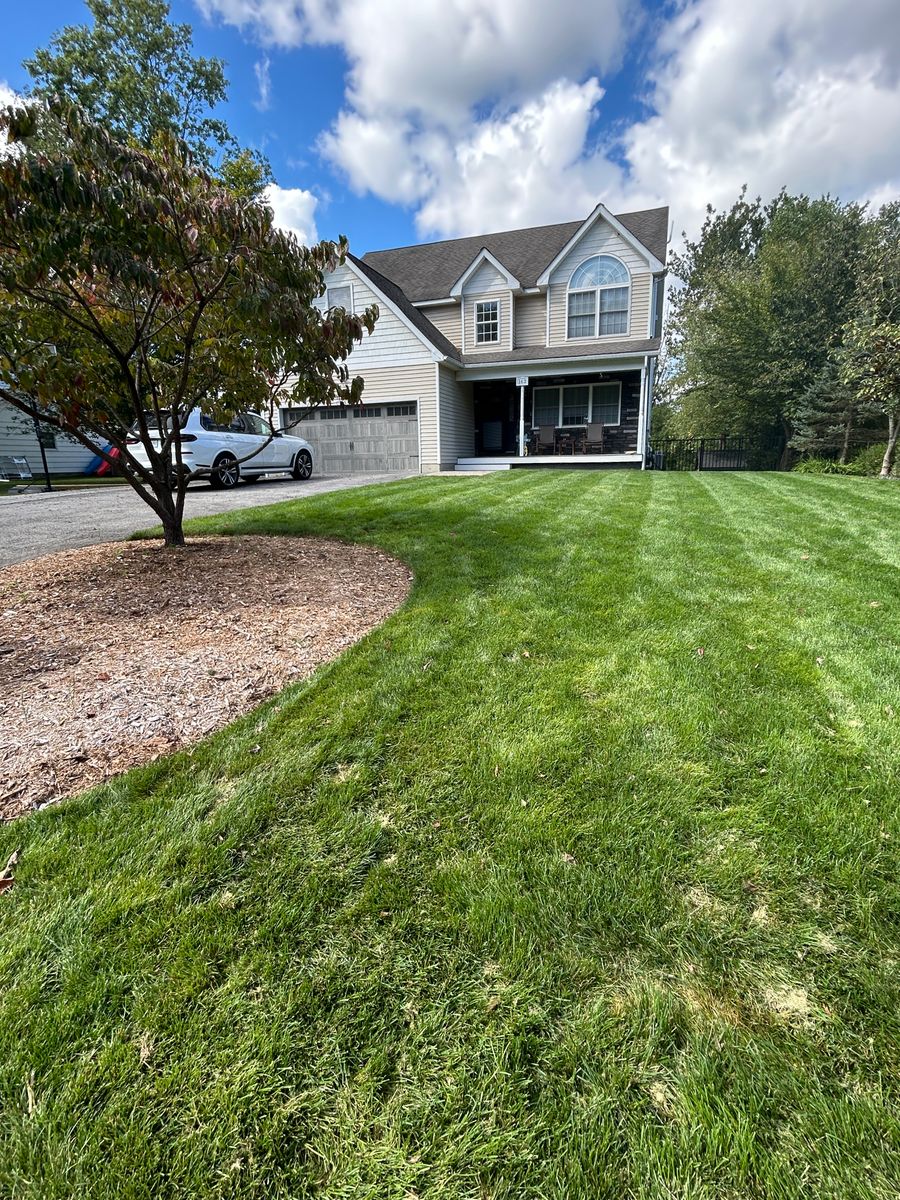 Lawn Care for Tony Monaco Landscaping Inc. in Orange County, NY