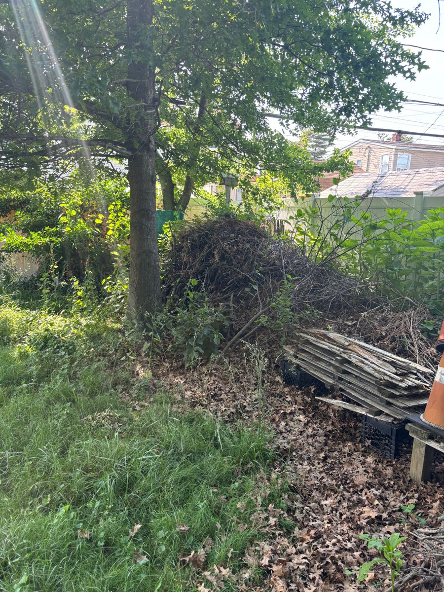 Overgrown Property Clean Up for Strong Island Property Services in West Hempstead, NY