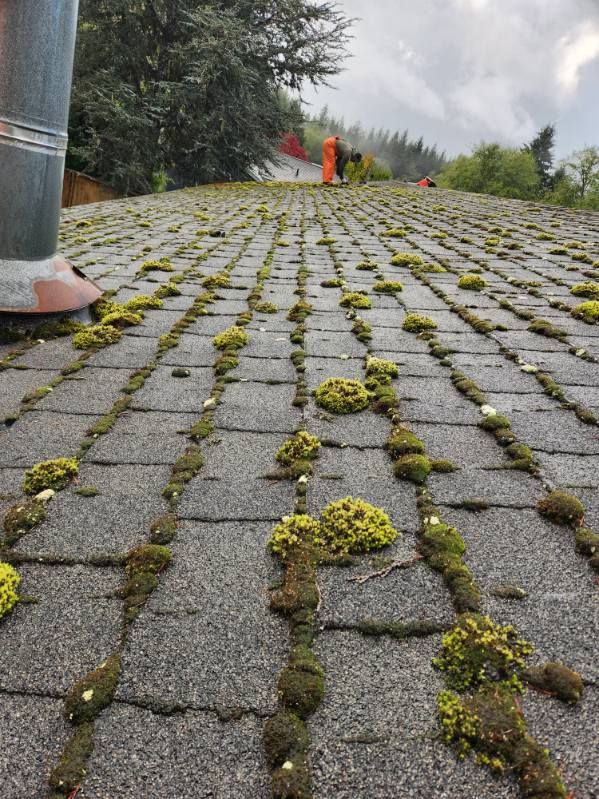 Gutter and Roof Cleaning for Bob's Yard Care & Landscaping in Raymond, WA