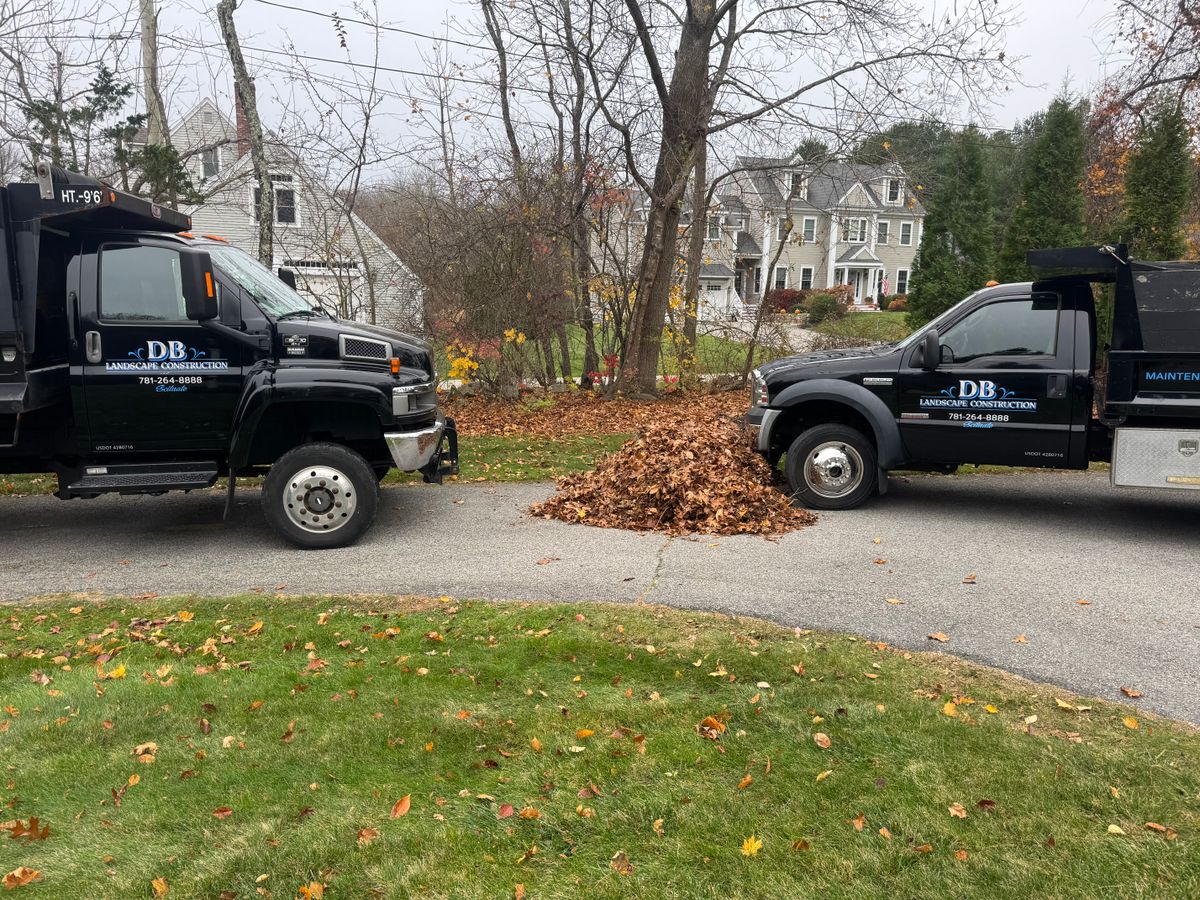 Fall Clean Up for DB Landscape Construction in Scituate, MA