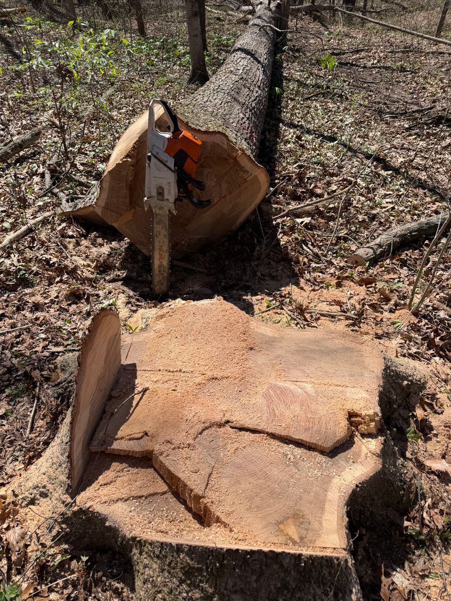Logging for Kadin’s Tree Service in North Vernon, IN