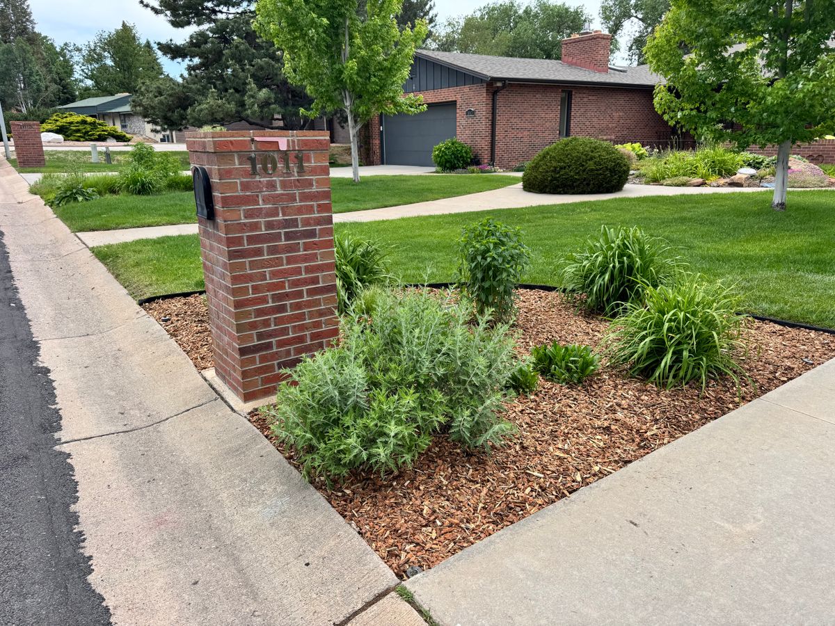 Lawn Maintenance for Rock Masters Inc. in Evans, CO